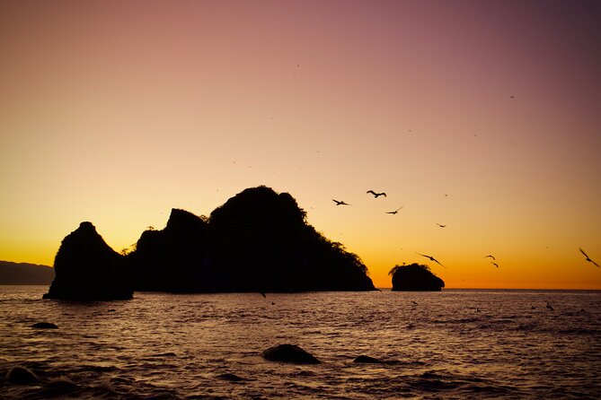 Sunset and Bioluminescence Boat Tour at Los Arcos Islands - Los Arcos at Sunset: Arches, Birds, and That Postcard Color