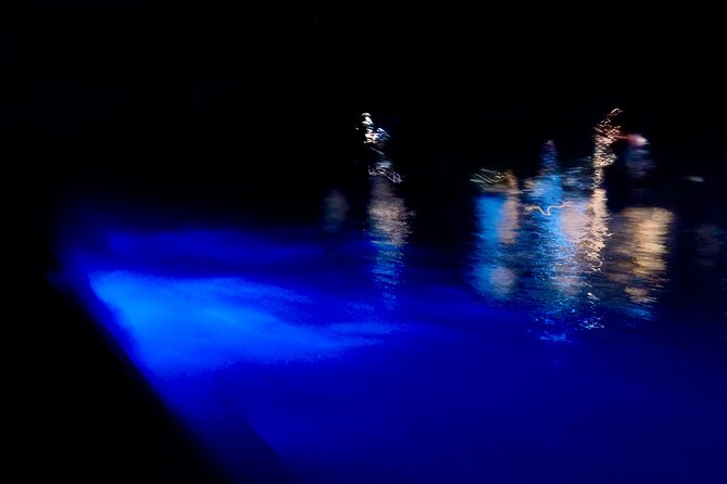 Sunset and Bioluminescence Boat Tour at Los Arcos Islands - Night Cave Snorkeling: How the Crew Keeps It Comfortable