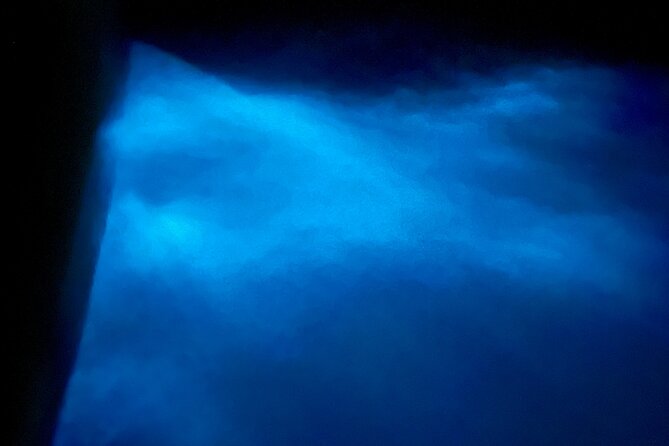 Sunset and Bioluminescence Boat Tour at Los Arcos Islands - Price and Value: Is $79 Worth It?