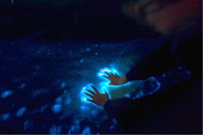 Sunset and Bioluminescence Boat Tour at Los Arcos Islands - Meeting Points and Getting on the Right Boat