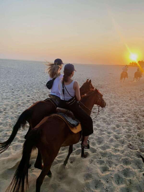 Sunset by Horse on the Beach - Sunset Ride From the Laguna to the Sea, Right When It Matters