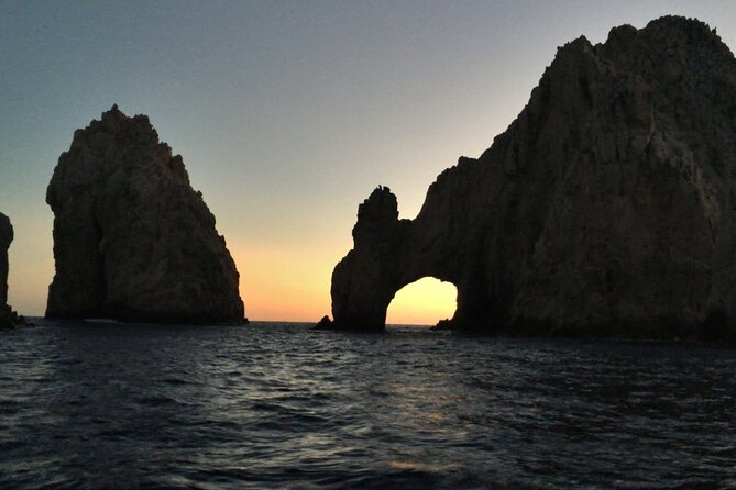 Sunset Whale Cruise in Cabo San Lucas - Sea lions, marine park fees, and the biologist narration