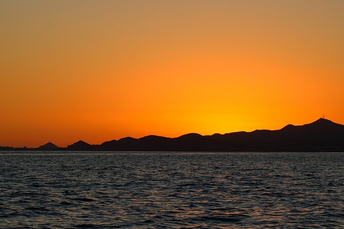 Sunset Whale Watching in San Jose del Cabo - English offered and a mobile ticket that keeps things easy
