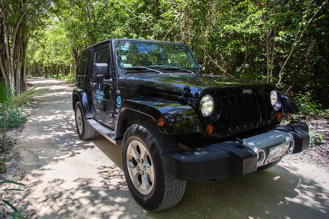 Super Cozumel Combo Snorkel by Boat and Jeep Exploration (Private) - Snorkeling near the reef from a guided boat ride