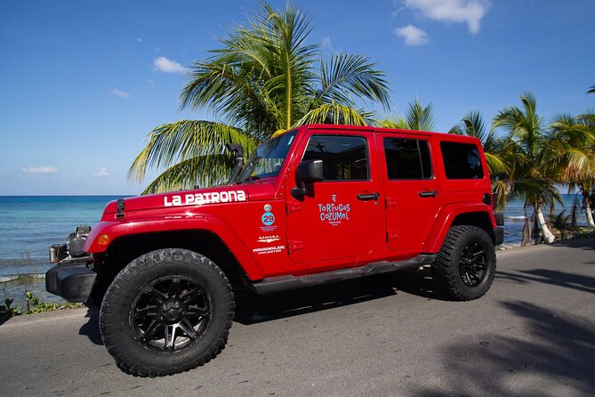 Super Cozumel Combo Snorkel by Boat and Jeep Exploration (Private) - Lunch at Tortugas Beach Club, and how to order what you actually like