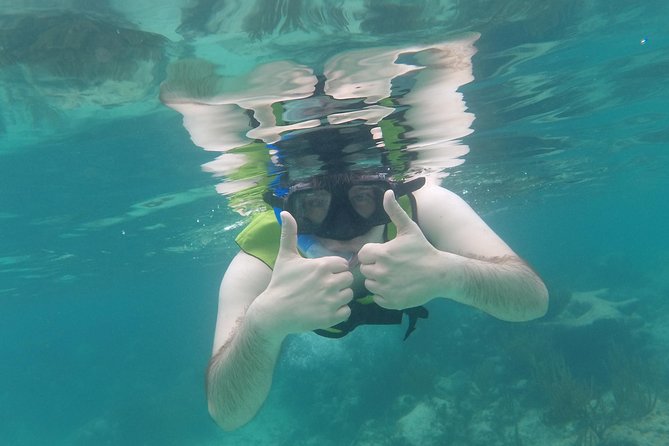 Swim with sea turtles - The meeting point at 9MXM+94, and how to get ready