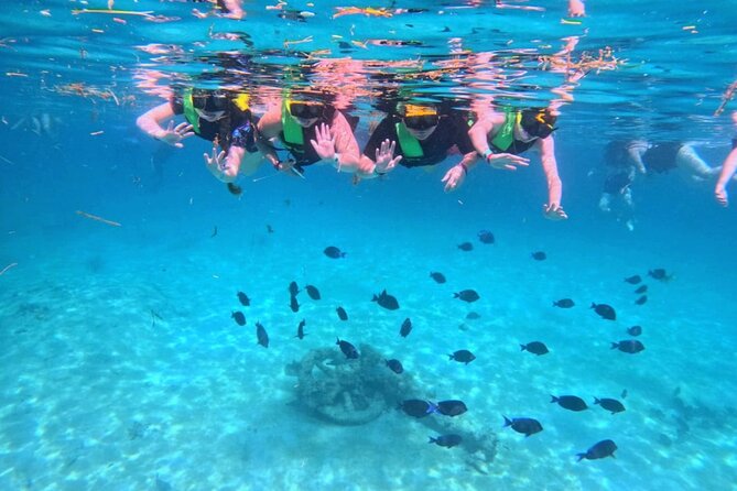Swim with Turtles in Akumal + GoPro Photo Session - What to bring so the day stays easy