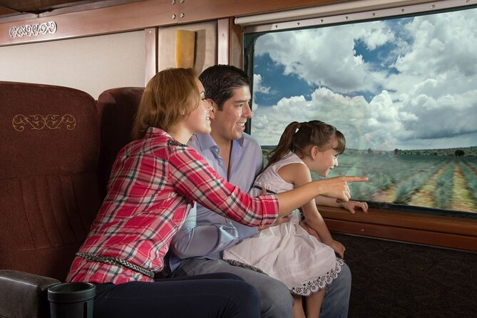 Tequila Day Trip from Guadalajara with Jose Cuervo Express Train - The Tasting, Lottery Game, and the Mariachi Moment