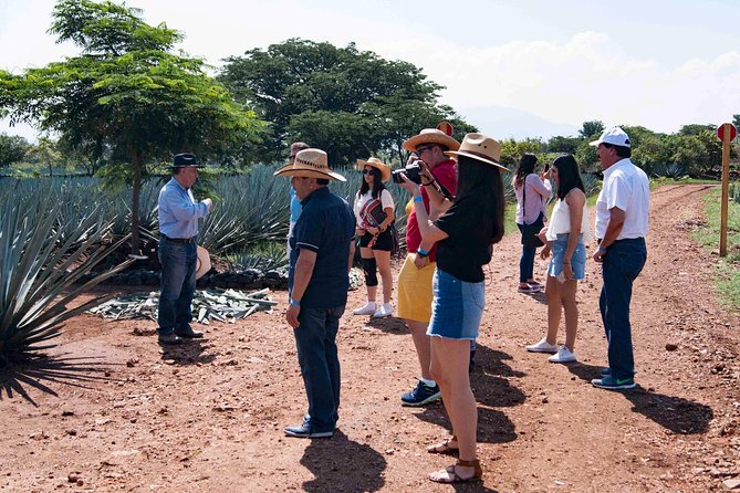 Tequila distillery experience, Jose Cuervo & Tequila Magic Town - Mercado Cleofas Mota and Tequila Town Free Time