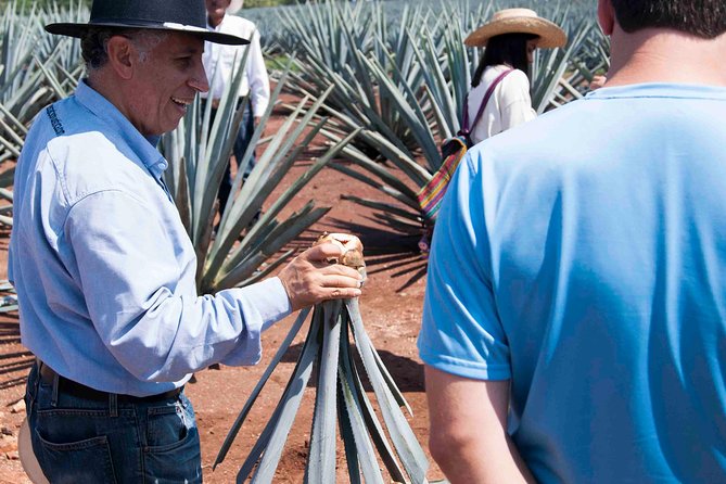 Tequila distillery experience, Jose Cuervo & Tequila Magic Town - Guides and the Pace: What Actually Makes It Work