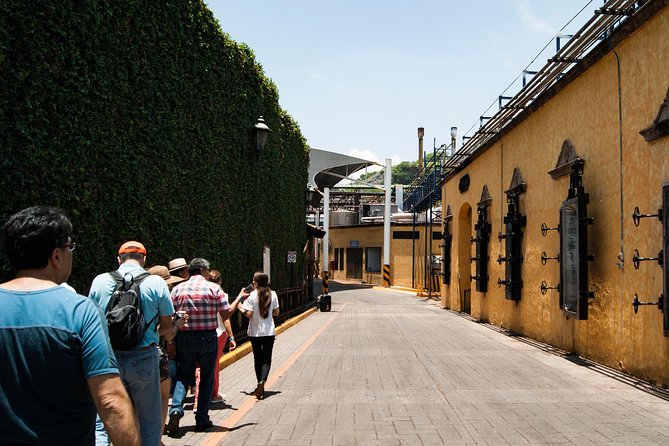 Tequila distillery experience, Jose Cuervo & Tequila Magic Town - Tasting Strategy: How to Get More Out of the Glass