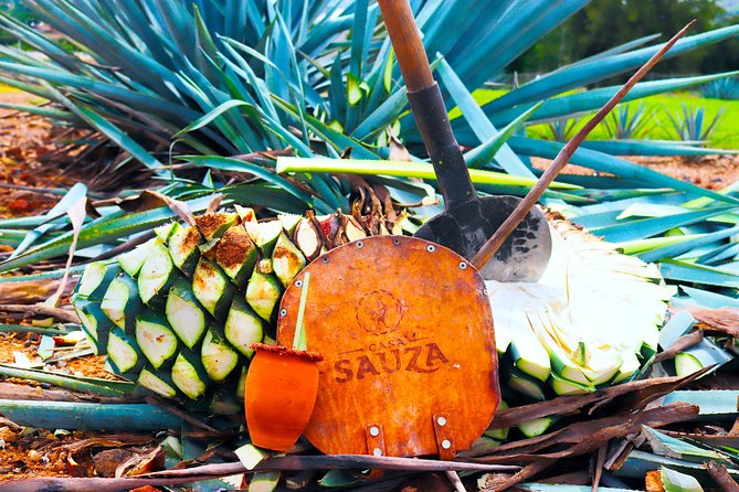 Tequila Express - Key highlights at a glance
