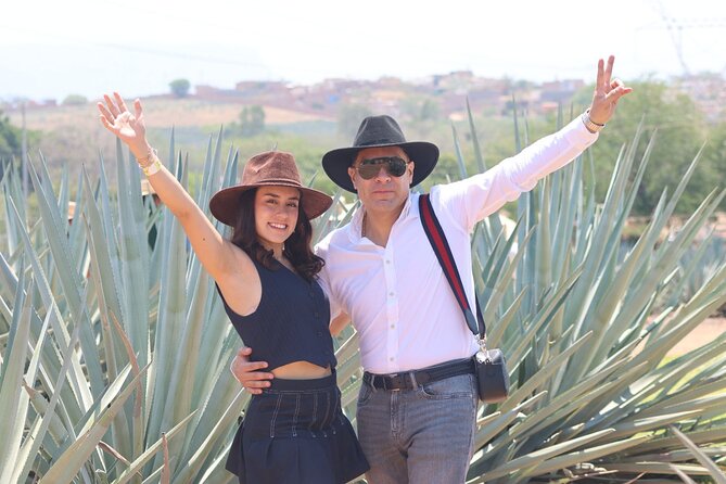 Tequila Express - Train ride to Tequila (or bus, depending on pickup): drinks and comfort