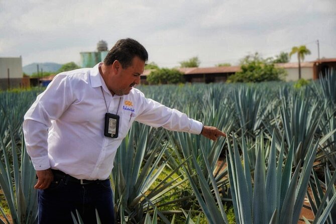Tequila Tour - Key points before you go