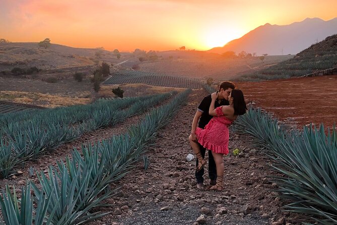 Tequila tour with tasting. - Getting There: Chapalita Pickup and a 10-Hour Day