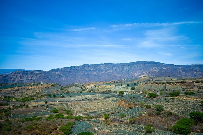 Tequila tour with tasting. - Tastings, Shots, and How to Pace the Alcohol-Forward Day