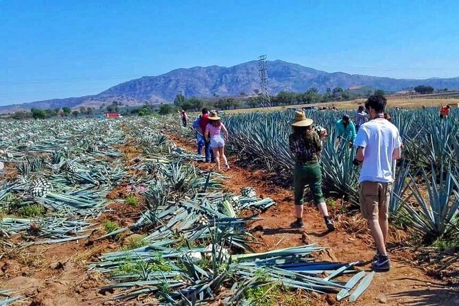 Tequila Tour - Stop 2 at Tequila Don Valente: a full-line tasting break