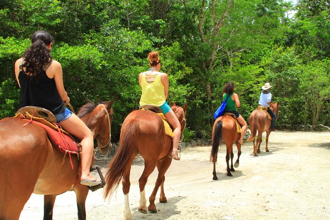 The best ATVs, zipline, cenote tour with lunch and transportation - Group Size, Language, and Who This Adventure Fits Best