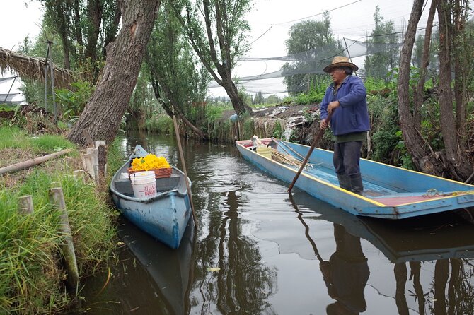 The City Green Exploring the Urban Eco Reserve of Xochimilco - Mercado de Xochimilco: where tlacoyos and chinampa produce meet your appetite