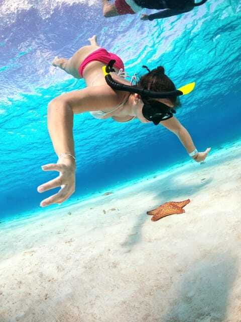 The Cozumel Turtle Sanctuary Snorkel Tour - Photos, tipping, and small extras to budget for