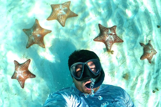 The Cozumel Turtle Sanctuary Snorkel Tour - El Cielo (Heaven) starfish sanctuary and what you should expect on the sand