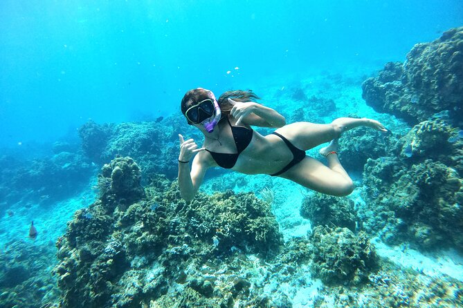 The Cozumel Turtle Sanctuary Snorkel Tour - Getting to the meeting point on time, especially from cruise ports