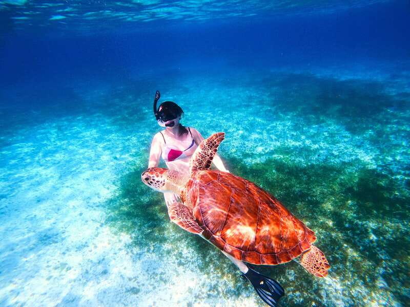 The Cozumel Turtle Sanctuary Snorkel Tour - Food, drinks, and the floating snack vibe