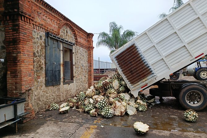 The Fire TOUR - Pyramids, Volcanoes, Agaves & Tequila - Destileria La Alborada: from cooked agave to your glass