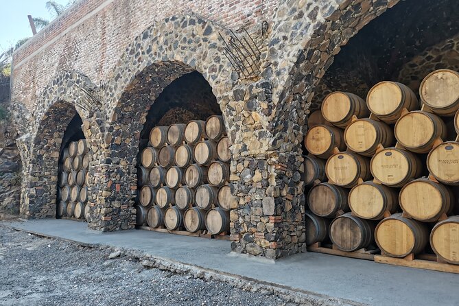 The Fire TOUR - Pyramids, Volcanoes, Agaves & Tequila - Timing, driving, and what a full day feels like