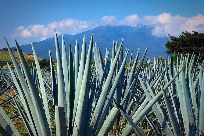 The Fire TOUR - Pyramids, Volcanoes, Agaves & Tequila - What to bring (so the day feels easy)