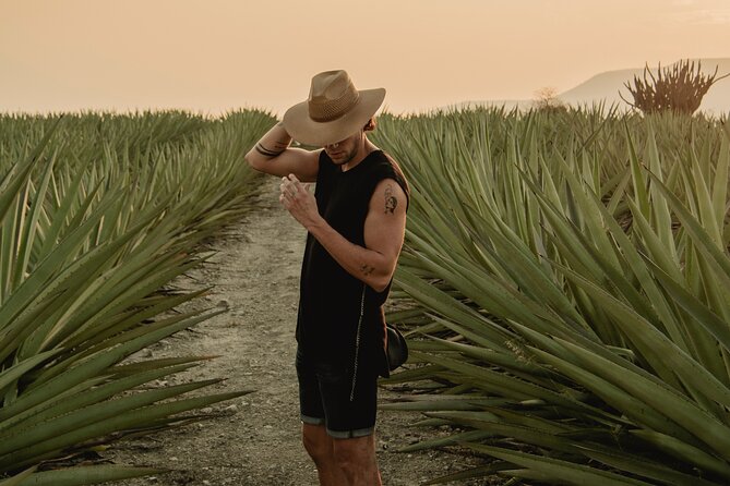 The Mezcal Journey - Key things that make this Mezcal Journey worth your time