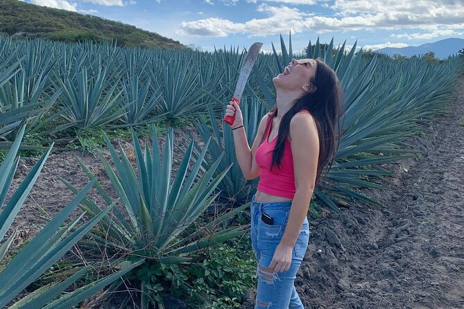 The Mezcal Journey - Inside the artisanal distillery: the areas you usually never see