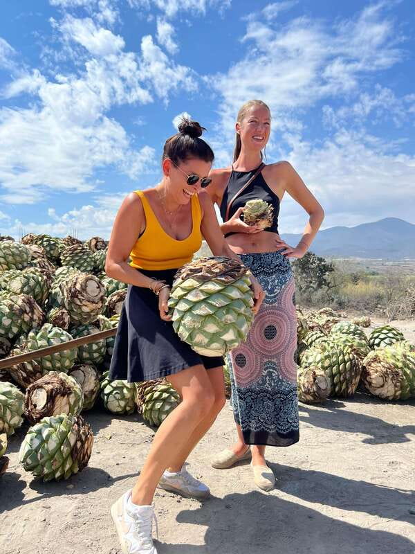 The Mezcal Journey - Price and value: what $105 buys you in real terms