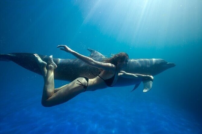 The only Natural Space Dolphin Encounter in Cabo Optional Pickup! - Quick takes before you go
