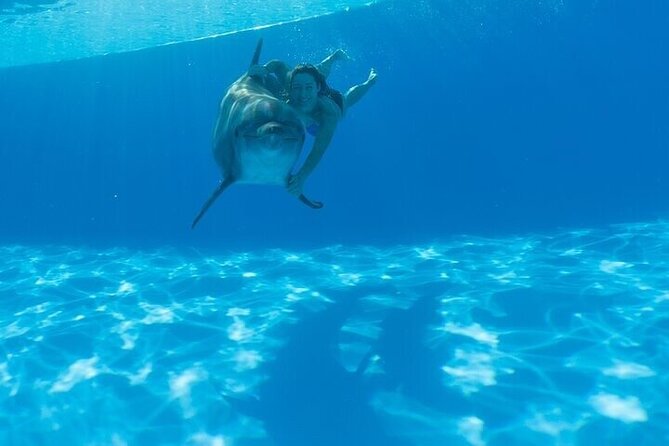The only Natural Space Dolphin Encounter in Cabo Optional Pickup! - Safety gear and the trainer-led vibe that people keep praising