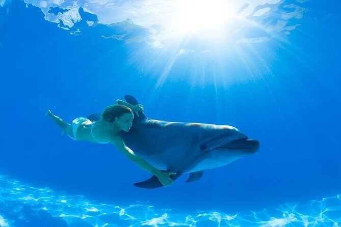The only Natural Space Dolphin Encounter in Cabo Optional Pickup! - The Cabo stops you will see, and what each one means