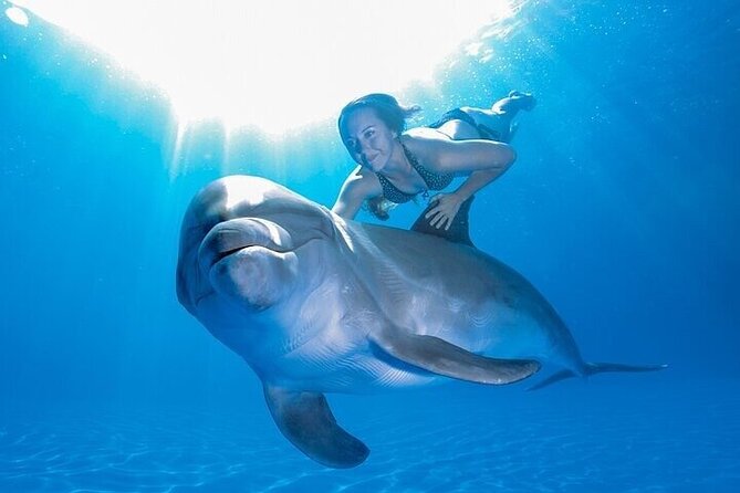 The only Natural Space Dolphin Encounter in Cabo Optional Pickup! - Photos and videos: the add-on that can double your total cost