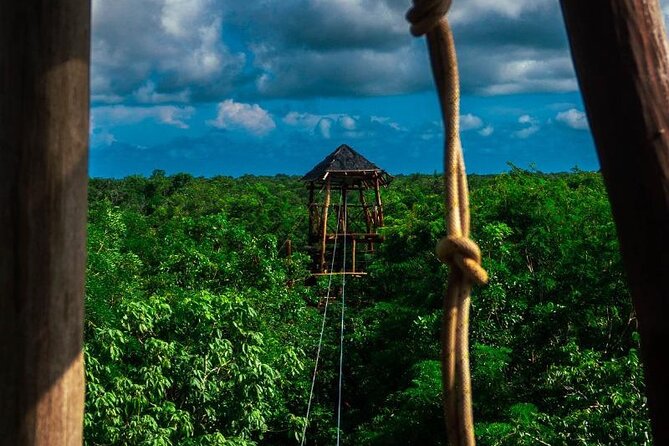 The Original Cozumel Zipline Adventure - The ladder-climb reality, the part to plan for
