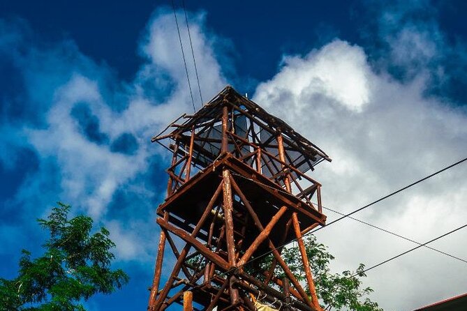 The Original Cozumel Zipline Adventure - Small group energy, and why it feels calmer at each tower