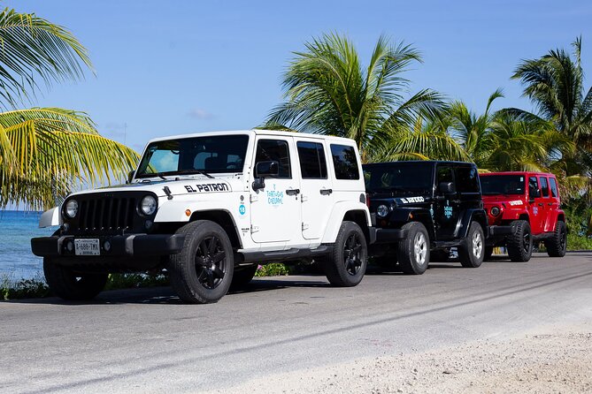 The Original Jeep Tour Revamped by Tortugas Cozumel® (Private) - Playa Publica San Martin and El Mirador: Two Quick Caribbean Hits