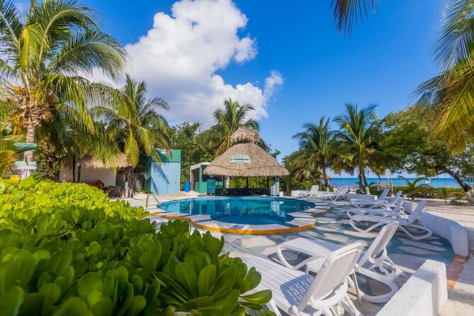Tikinxic Barefoot Fish Guided Cookout Experience in Cozumel - Open Bar and Beach Time: Margaritas Without the Chaos