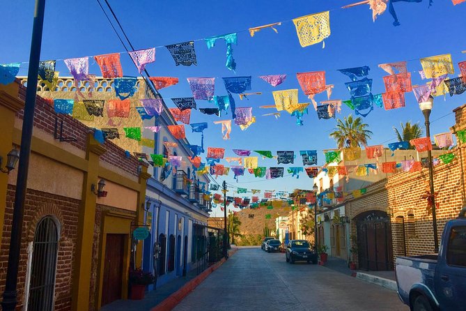 Todos Santos Day Trip from Cabo San Lucas - Guides that can make or break your day
