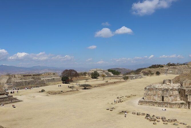 Tour Monte Albán "clasico" - Getting started in Centro: meeting point, pickup timing, and where you end