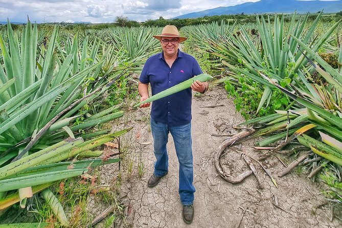 Tour Monte Albán, Hierve el agua, Teotitlán Del Valle and Mezcal - Best fit: who should book this Oaxaca cultural day