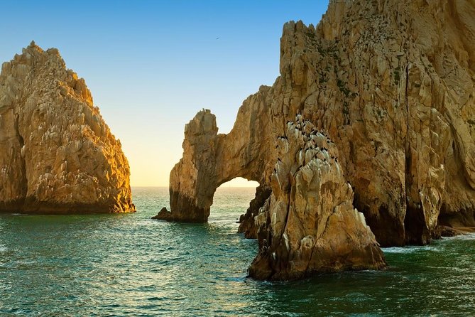 Tour to Arch in the only Clear Boat in Cabo Cruise Hotel PICKUP! - A Short Clear Boat Ride That Still Hits the Best Bits