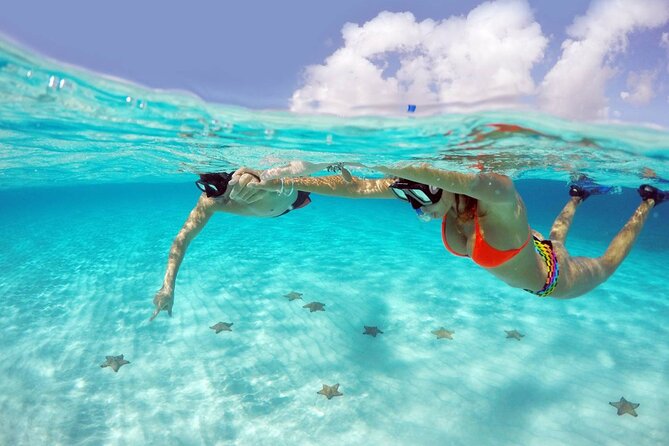 Tour to Cozumel by Catamaran with Snorkeling and Buffet Lunch - Playa del Carmen to Cozumel, The Day Starts With a Ferry