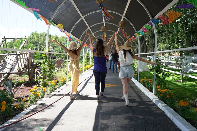 Tour to Lake Chapala, MAGIC TOWN of Ajijic from Guadalajara - Chapala: piers, boardwalk, and Voladores de Papantla
