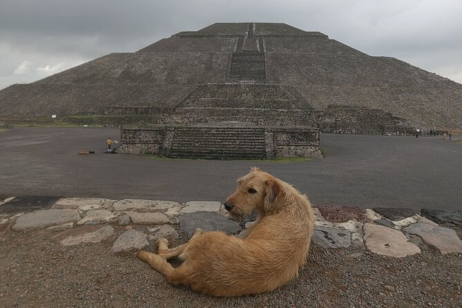 Tour to Teotihuacan from CDMX with entrances included - Why This Teotihuacán Day Trip Works From Condesa