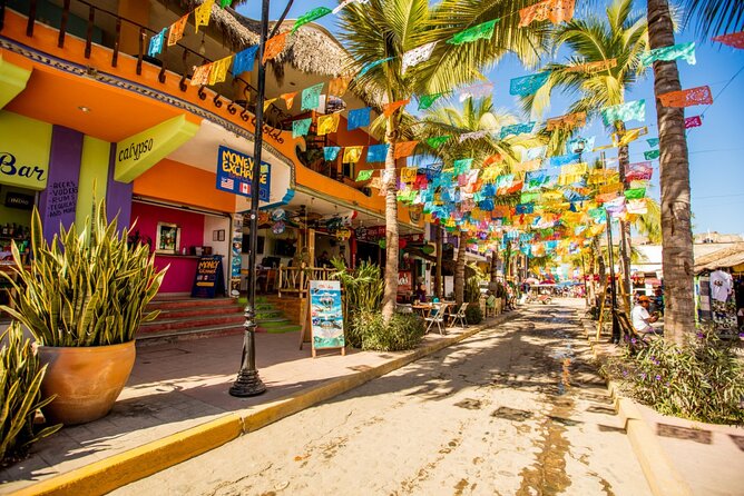 Tour to the Magical Town of Sayulita and San Pancho from Pto Vallarta - Price and Logistics: Is $100 Per Person Fair for What You Get?