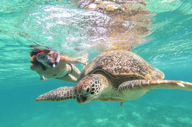 Tour to Tulum and Cenote Swimming with Turtles from Tulum - Key things I’d circle before you book